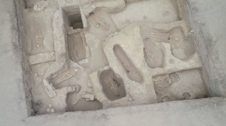В Перу обнаружили древние захоронения — какие секреты хранят останки? В Перу найдены останки тысячелетней давности почти 30 человек, некоторые из них стали жертвами религиозного ритуала. Фото.