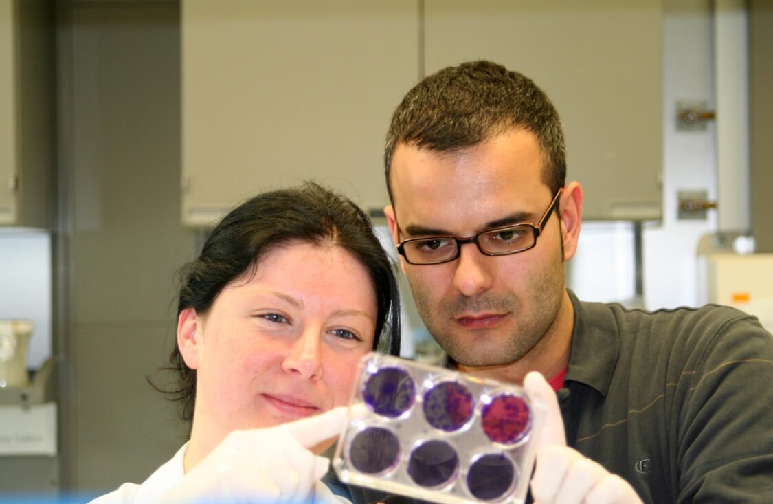 Пальмовое масло меняет геном рака? Сотрудники IRD готовятся к клиническим испытаниям препарата против метастазирования. Фото.