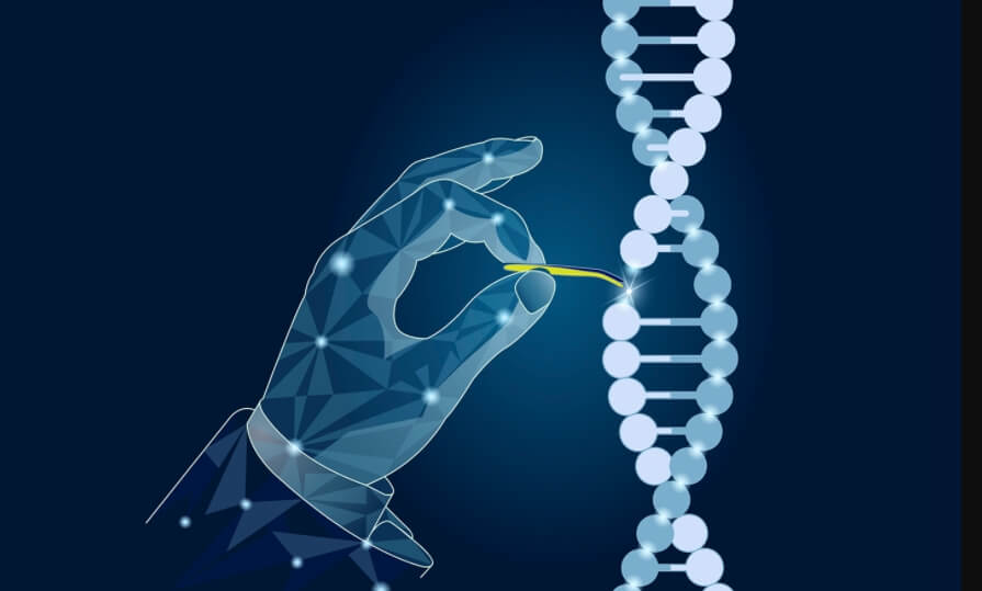 CRISPR — инструмент для изменения генома животных и растений. Фото.