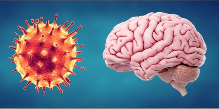 Способствует ли коронавирус развитию нейродегенеративных заболеваний?