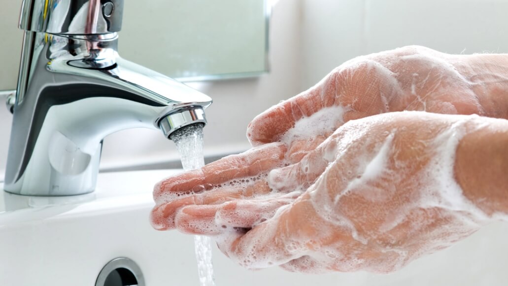 Лечение от свиного цепня. Чтобы не заразиться свиным цепнем, нужно тщательно мыть руки. Фото.