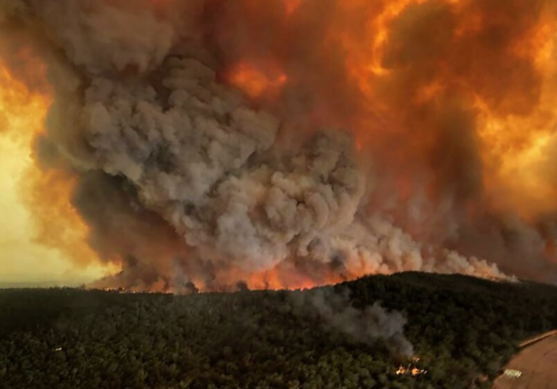 Охота на диких лошадей в Австралии. Фото лесных пожаров в Австралии. Фото.