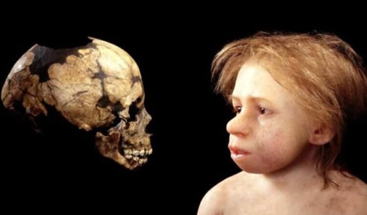 Уровень детской смертности в давние времена мог быть ниже, чем считается. Из-за чего древние дети чаще умирали? У ученых есть новое предположение. Фото.