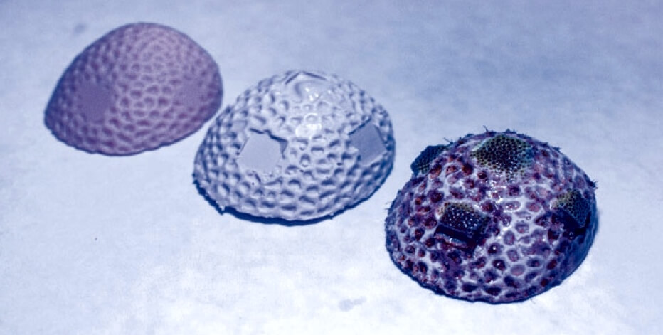 Испытание напечатанных структур в аквариуме. Фото.