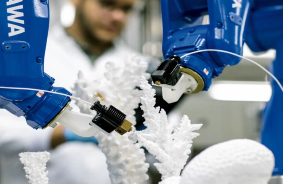 Выращивание кораллов при помощи 3D CoraPrint. Фото.