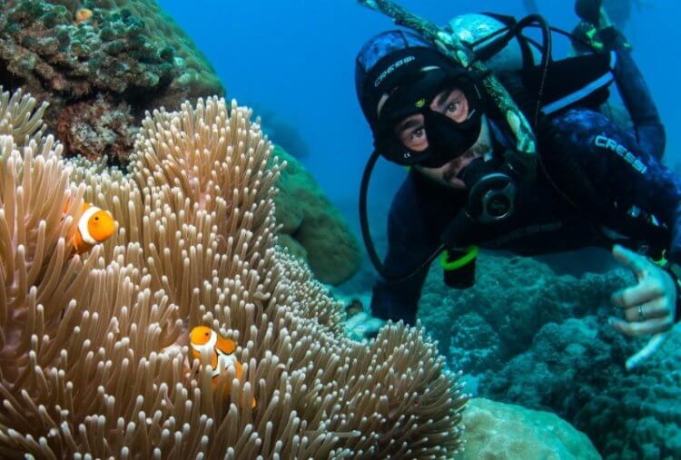 Коралловые рифы: польза и вред