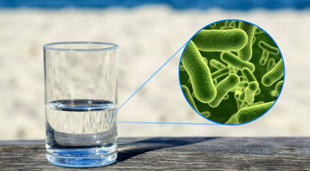 В воде живут микробы, которые могут производить парниковые газы. Фото.