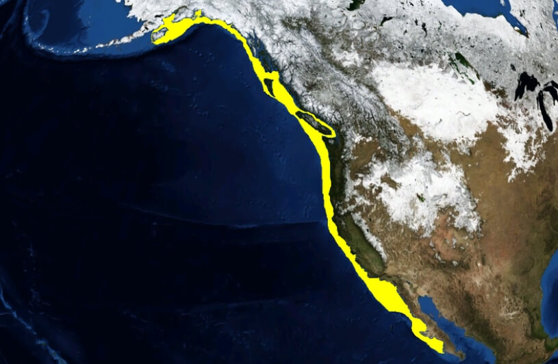 Ареал обитания зубастых терпуг. Фото.