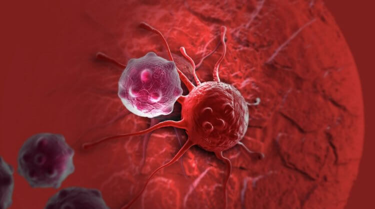 Трудности в лечении рака. Некоторые раковые клетки вырабатывают устойчивость против лекарств. Фото.