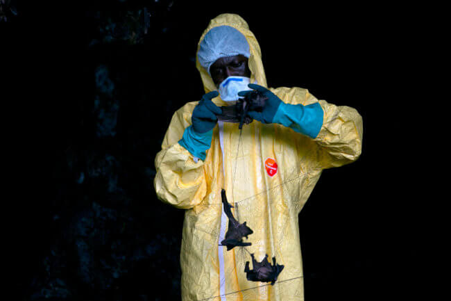 Почему эксперты все чаще говорят об угрозе новой пандемии? Фото.