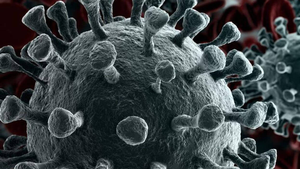 Вакцинация против COVID-19 и смертность. Коронавирус продолжает мутировать и это очень плохо. Фото.