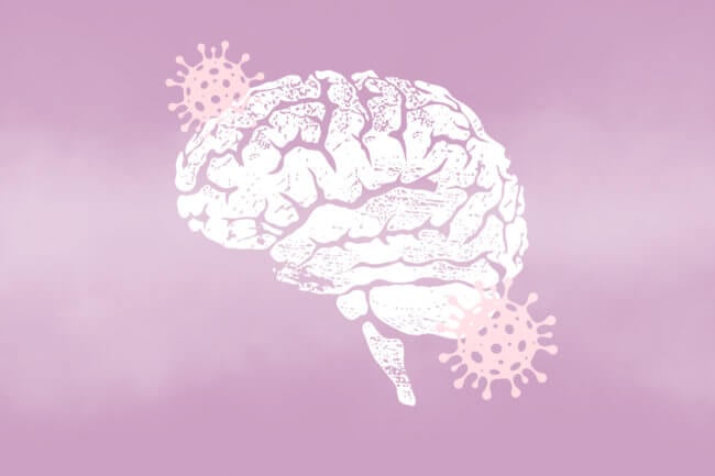 Способствует ли коронавирус развитию нейродегенеративных заболеваний? Фото.
