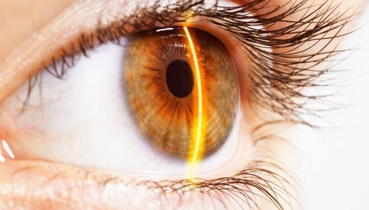 На что и почему реагируют зрачки человеческих глаз?
