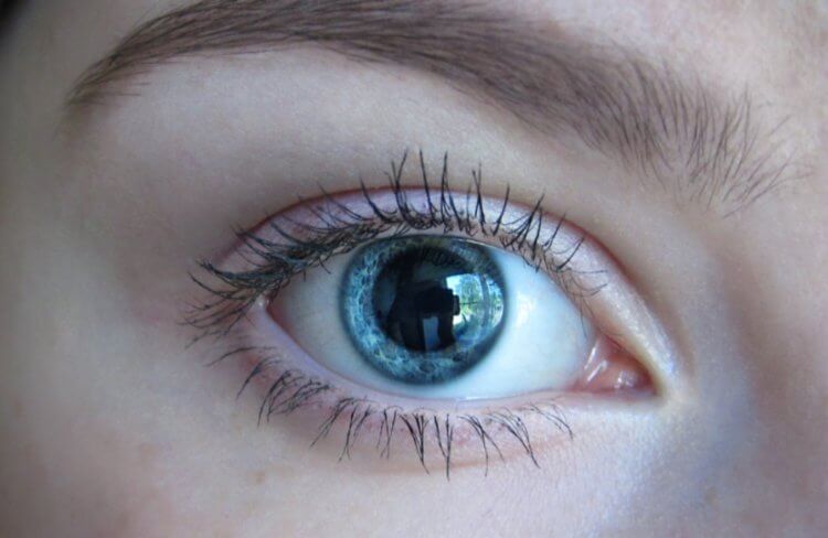 На что и почему реагируют зрачки человеческих глаз? Зрачки людей меняются не только в зависимости от уровня освещения. Фото.