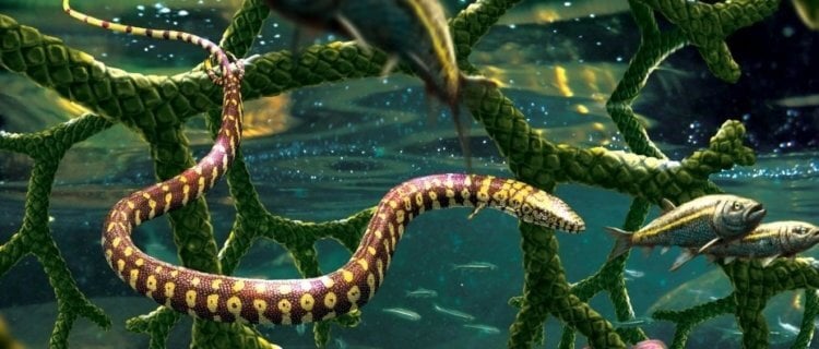 Ученые ошибались: древняя змея с четырьмя ногами оказалась ящерицей