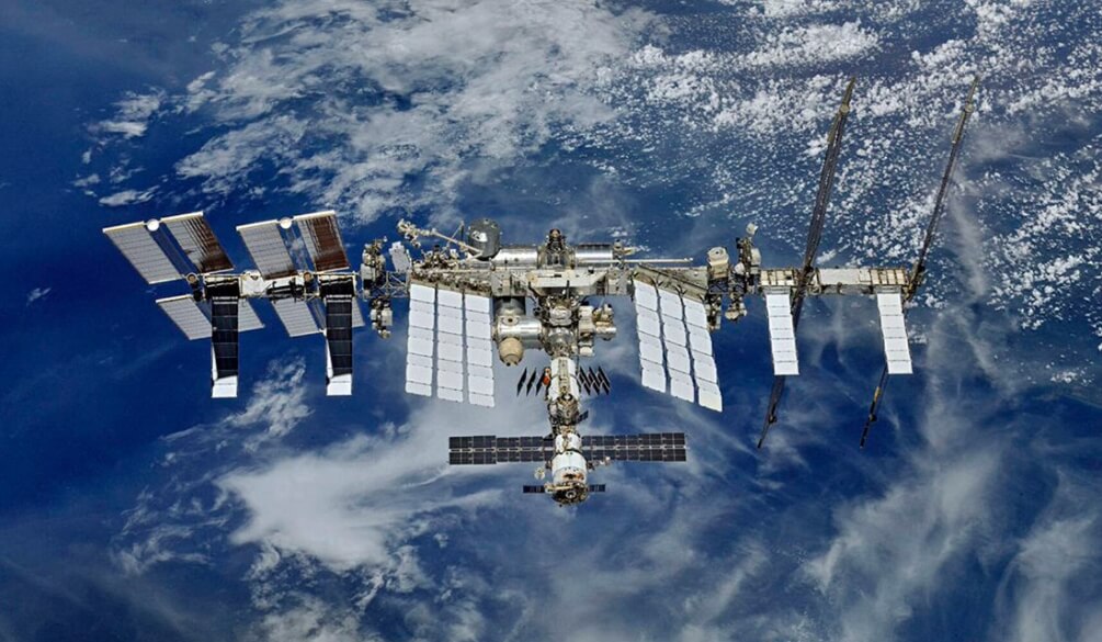 Защита от космического излучения. Грибок кладоспориум хорошо растет в космической среде. Защита от космического излучения. Грибок кладоспориум хорошо растет в космической среде. Фото.