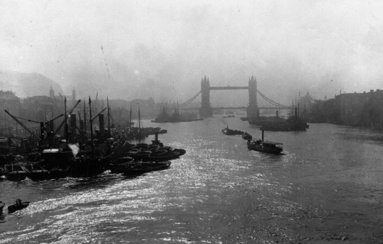 Как «биологически мертвая» река Темза снова стала живой?