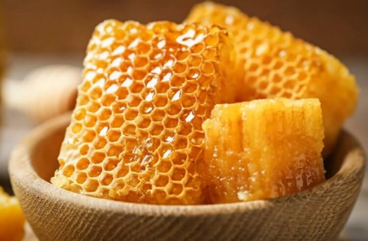 Как пчелы делают мед? Пчелы из Коста-Рики тоже производят мед. Фото.