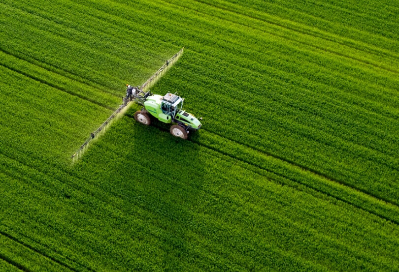 Биологический контроль — более безопасный способ борьбы с вредителями, чем использование химикатов. Фото.