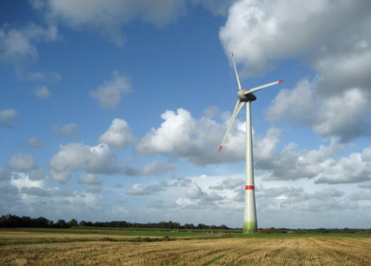 Ветряные электростанции могут навредить здоровью. Чем они опасны?