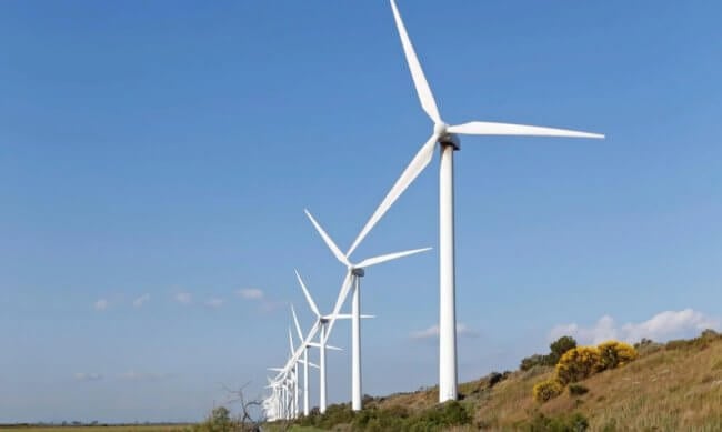 Ветряные электростанции могут навредить здоровью. Чем они опасны? Фото.