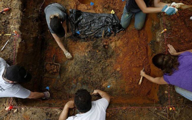В Польше нашли украшения кроманьонцев возрастом более 40 тысяч лет. Фото.