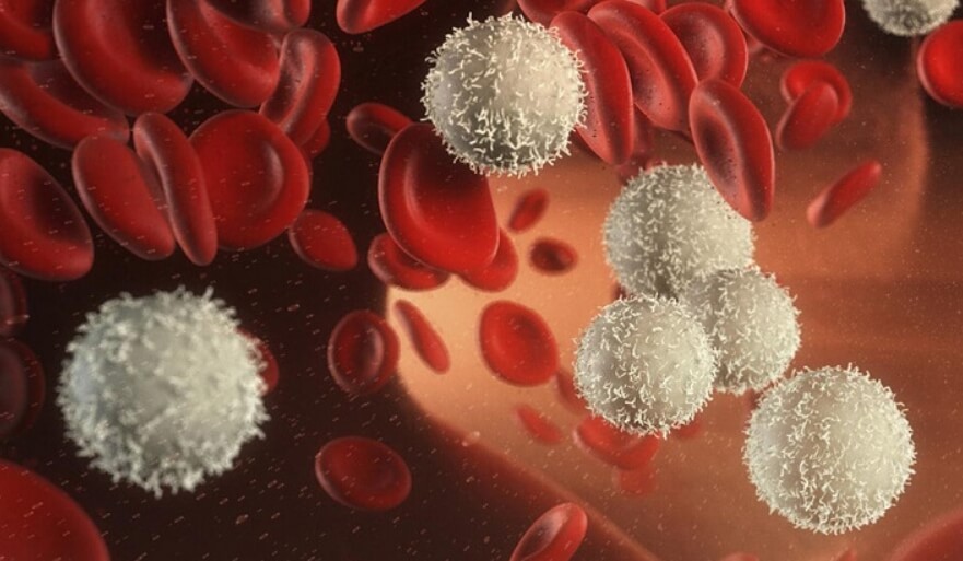 Раковые клетки не восприимчивы к химиотерапии, когда находятся в спящем состоянии. Фото.