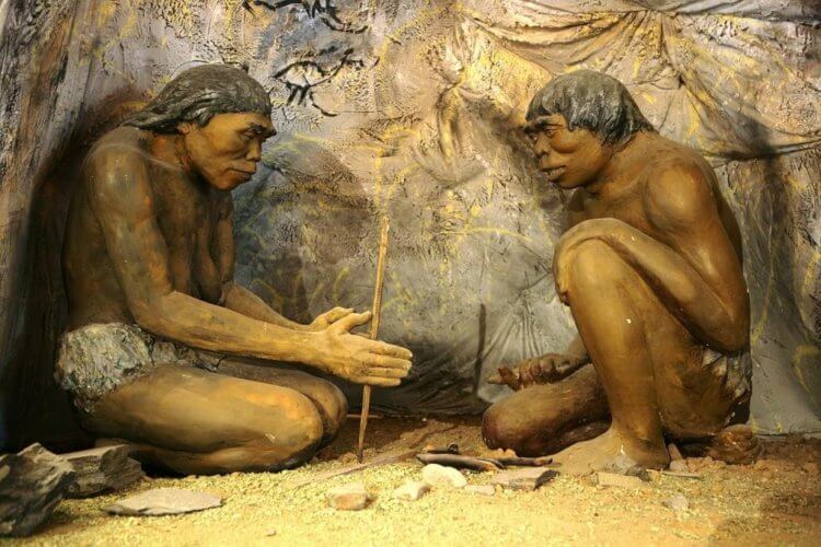 Почему неандертальцы жили на открытой местности. Люди научились разжигать костер около 400 тысяч лет назад. Фото.