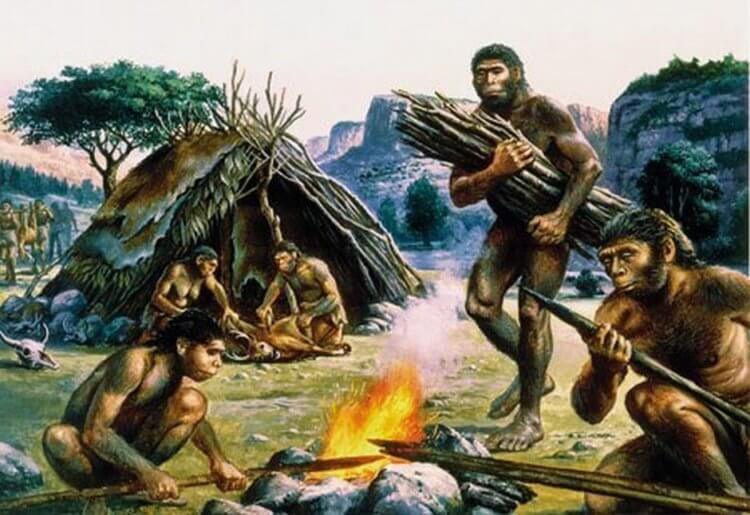 Как древние люди влияли на окружающую среду. Неандертальцы использовали лес для растопки костров и строительства убежищ. Фото.