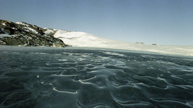 Аномальный источник тепла под Туэйтса. В результате разрушения Туэйтса уровень воды в мировом океане может возрасти на 3 метра. Фото.