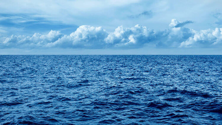 Чтобы охладить Землю ученые предлагают удобрять океан
