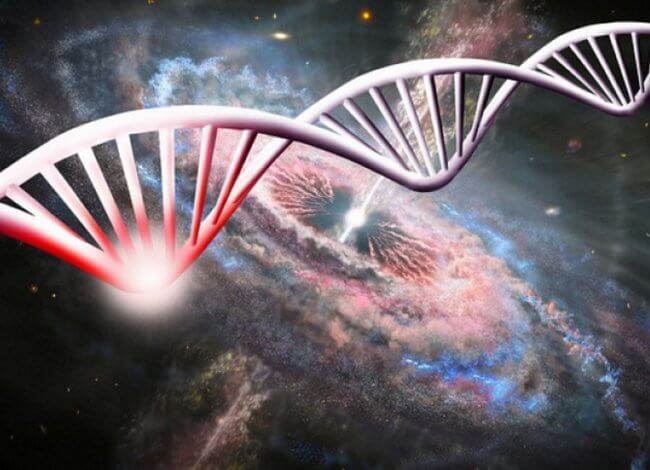 Ученые выяснили, что в невесомости ДНК быстро мутирует. Фото.