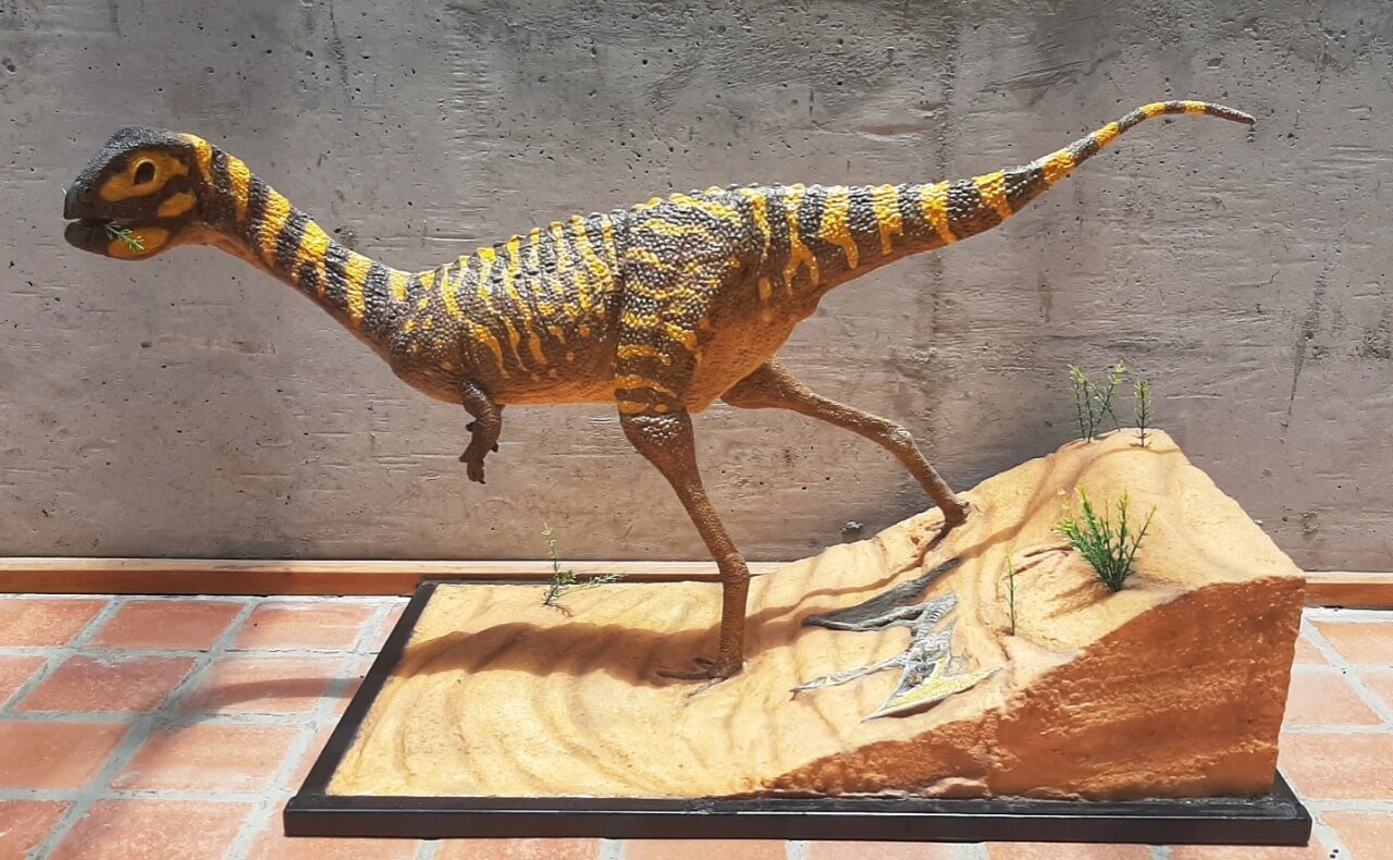 76786 <p>Среди самых необычных и удивительных динозавров, которые были обнаружены в 2021 году, достойное место занимает беззубый динозавр из Бразилии. Он был найден в штате Парана, который называют кладбищем птерозавров, так как здесь содержится огромное количество окаменелостей этих животных. Поэтому, когда ученые обнаружили окаменелости существа с клювом как у попугая, они вначале подумали, что перед ними останки очередной летающей рептилии. Но результаты дальнейшего исследования их шокировали. Как оказалось, они обнаружили неизвестный ранее вида беззубого динозавра. Еще более странным является то, что животное принадлежит к группе под названием цератозавры, почти все из которых были плотоядными и, соответственно, имели зубы. Berthasaura leopoldinae жил в период между 80 и 70 миллионами лет назад в меловой период. Свое имя он получил в дань уважения Берте Лутц, бразильской ученой, отстаивавшей избирательное право женщин, а также Марии Леопольдине , австрийке, которая стала императрицей Бразилии и была защитницей естественных наук.