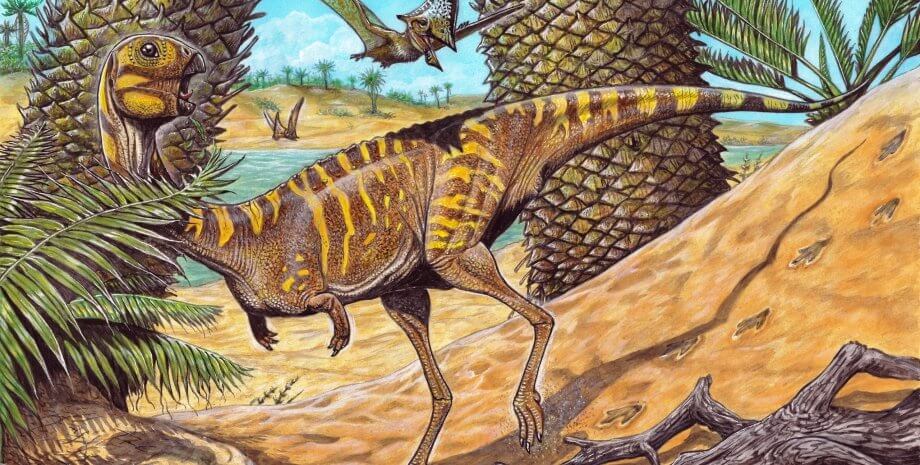 Berthasaura leopoldinae <p>Мало кто знает, но открытие новых видов динозавров - это не редкое событие в мире палеонтологии. Ежегодно появляется более 40 новых видов этих доисторических животных. В частности, в 2021 году ученые сообщили об открытии 42 новых видов динозавров. Такой высокий темп объясняется несколькими факторами. Динозавры всегда вызывали большой интерес палеонтологов, в результате чего их изучением занимается большое количество ученых. Кроме того, периодически происходит переосмысление старых видов. К примеру, динозавр игуанодон оказался на самом деле несколькими разными видами динозавров. Кроме того, открытию новых видов динозавров способствуют современные компьютерные технологии, которые позволяют исследователям получить больше информации об этих животных. Предлагаю ознакомиться с пятью наиболее интересными на мой взгляд динозаврами, которые стали достоянием уходящего года.
