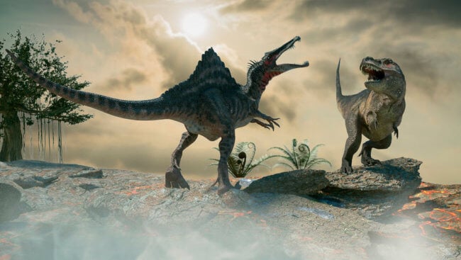 Пять самых необычных динозавров, обнаруженных в 2021 году. Фото.