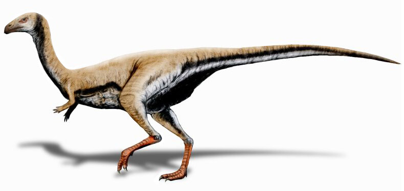 lt;pgt;Среди самых необычных и удивительных динозавров, которые были обнаружены в 2021 году, достойное место занимает беззубый динозавр из Бразилии. Он был найден в штате Парана, который называют кладбищем птерозавров, так как здесь содержится огромное количество окаменелостей этих животных. Поэтому, когда ученые обнаружили окаменелости существа с клювом как у попугая, они вначале подумали, что перед ними останки очередной летающей рептилии. Но результаты дальнейшего исследования их шокировали. Как оказалось, они обнаружили неизвестный ранее вида беззубого динозавра. Еще более странным является то, что животное принадлежит к группе под названием цератозавры, почти все из которых были плотоядными и, соответственно, имели зубы. Berthasaura leopoldinae жил в период между 80 и 70 миллионами лет назад в меловой период. Свое имя он получил в дань уважения Берте Лутц, бразильской ученой, отстаивавшей избирательное право женщин, а также Марии Леопольдине , австрийке, которая стала императрицей Бразилии и была защитницей естественных наук.