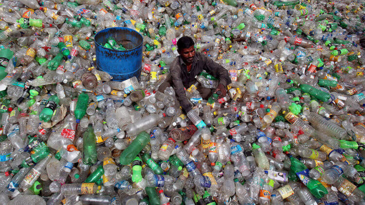 Перспективы бактерий, разлагающих пластик. Пластиковый мусор в будущем может начать исчезать сам по себе. Фото.