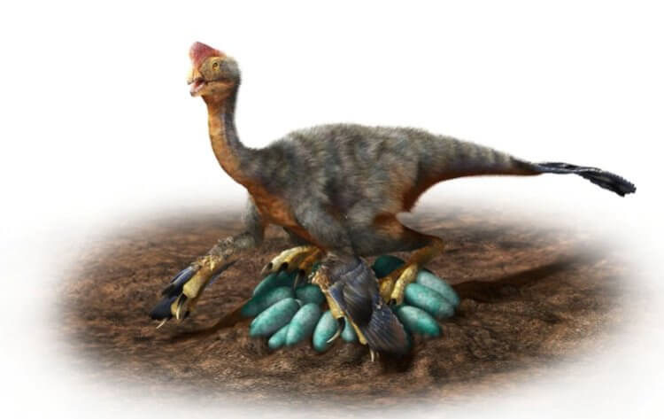 Ученые нашли яйцо с детенышем динозавра возрастом 70 миллионов лет