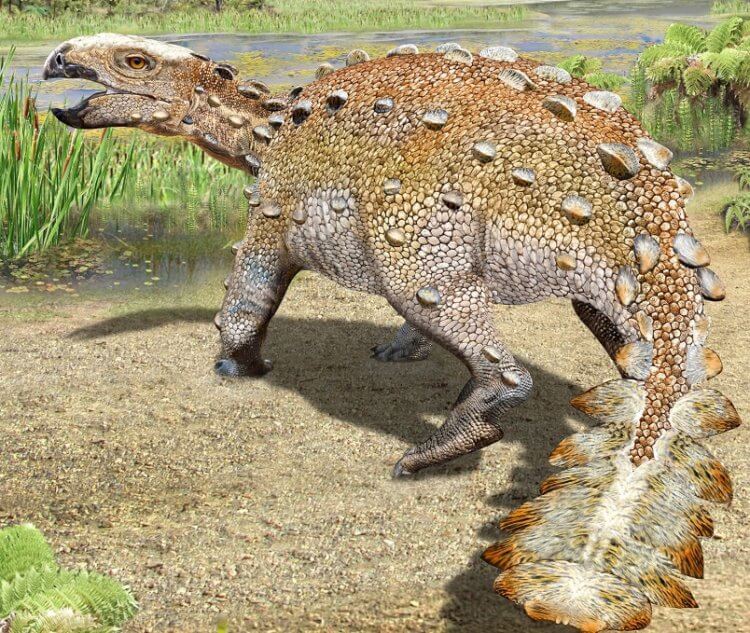 Окаменелое существо, найденное на юге Чили, имеет странное сочетание черт двух динозавров. Стегурос — недавно обнаруженный вид динозавра с «оружием» на хвосте. Фото.