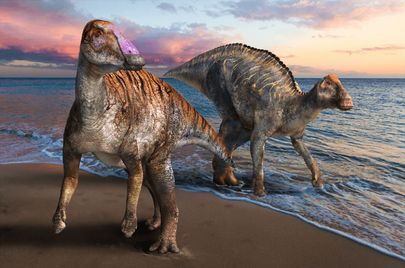 Yamatosaurus lt;pgt;Мало кто знает, но открытие новых видов динозавров - это не редкое событие в мире палеонтологии. Ежегодно появляется более 40 новых видов этих доисторических животных. В частности, в 2021 году ученые сообщили об открытии 42 новых видов динозавров. Такой высокий темп объясняется несколькими факторами. Динозавры всегда вызывали большой интерес палеонтологов, в результате чего их изучением занимается большое количество ученых. Кроме того, периодически происходит переосмысление старых видов. К примеру, динозавр игуанодон оказался на самом деле несколькими разными видами динозавров. Кроме того, открытию новых видов динозавров способствуют современные компьютерные технологии, которые позволяют исследователям получить больше информации об этих животных. Предлагаю ознакомиться с пятью наиболее интересными на мой взгляд динозаврами, которые стали достоянием уходящего года.