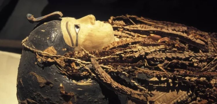 Тайна мумии Аменхотепа I. Крышка саркофага Аменхотепа I. Фото.