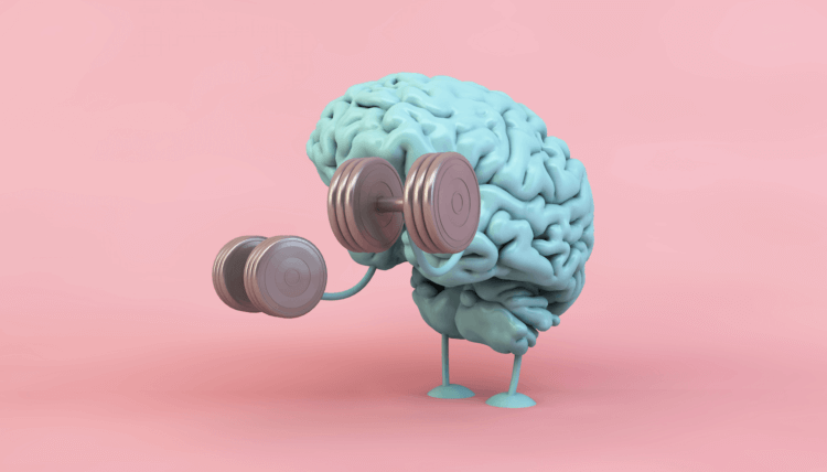 Что такое нейропластичность и почему ученые по-прежнему не могут понять, как работает мозг?