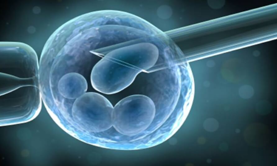 cell nanochip image five <p&gtОдно из самых важных достижений медицины за последние годы - это использование стволовых клеток для лечения человеческих болезней. Этот тип клеток в человеческом организме большом количестве имеется только на стадии эмбриона. Они способны превращаться в клетки разных тканей, поэтому в период развития из них создаются органы человека. С возрастом их становится все меньше, человеческий организм перестает восстанавливаться, стареет и умирает. Но вот уже несколько лет ученые создают стволовые клетки из уже сформировавшихся тканей, используя для этого самые высокие технологии. Этот процесс сложен и опасен тем, что в ходе процесса могут возникнуть раковые клетки. Но недавно американские ученые разработали чип, который программирует живые клетки на выполнение других функций. Стадия стволовой клетки минуется, побочных эффектов нет, но результат оказывается таким же.