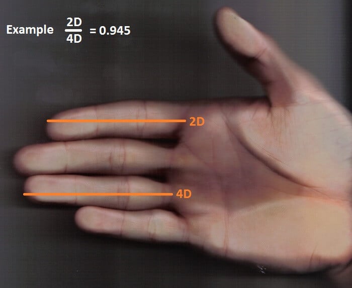 Что такое пальцевый индекс? Узнать пальцевый индекс очень просто, достаточно посмотреть на свою руку. Фото.