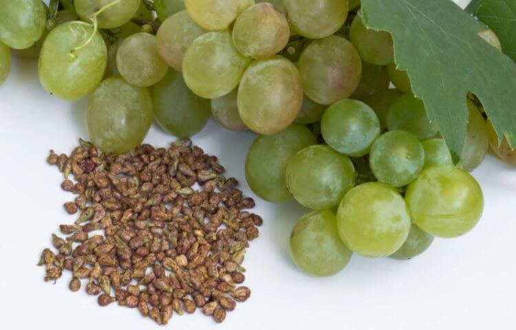 Виноградные косточки могут уничтожить старые клетки и увеличить длительность жизни. Виноградные семечки содержат вещество, которое замедляет старение. Фото.