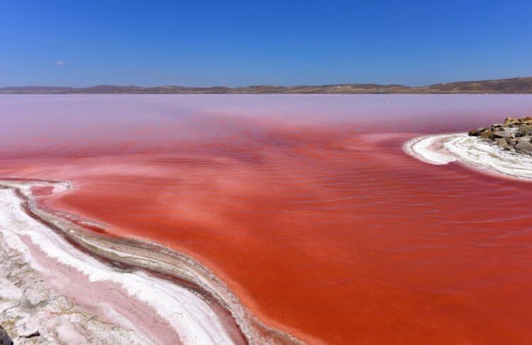 Турецкое озеро Туз. Озеро Туз, как и многие другие по миру, иногда окрашивается в розовый цвет из-за микроскопических водорослей. Фото.