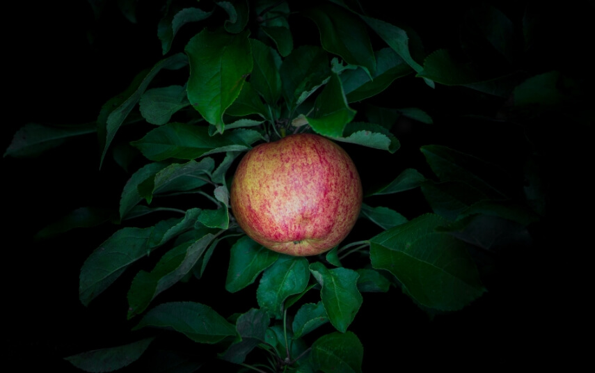 Как правильно питаться ночью? В ночную смену лучше обойтись легки перекусом. Фото.