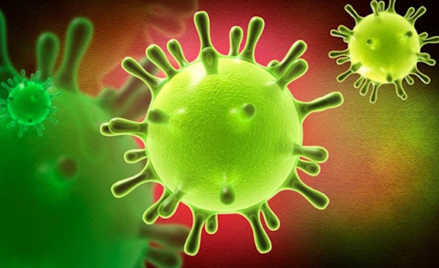 Иммунные белки акул блокируют коронавирус. Антитела акул показали эффективность против MERS, SARS-CoV-1, SARS-CoV-2 и других вирусов. Фото.