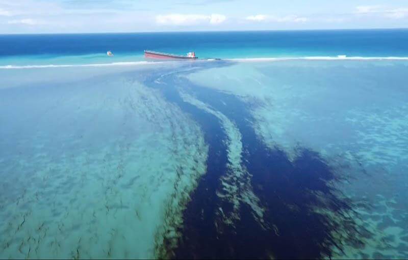 Бактерии, перерабатывающие нефть, могут быть задействованы для удаления нефтяных разливов. Фото.