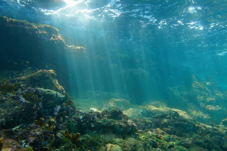Могут ли породы поглотить достаточно углерода, чтобы сдержать глобальное потепление? Ученые планируют уменьшить содержание углекислого газа в атмосфере при помощи пород в океане. Фото.
